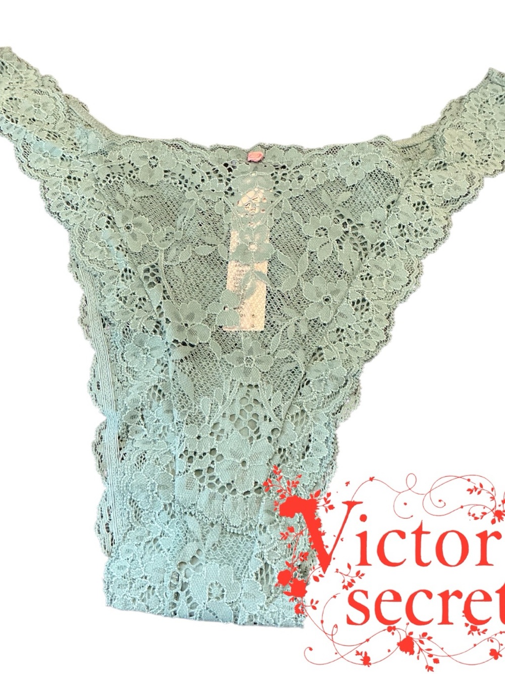 Victoria's Secret Lace Brazilian Panty in Mint Green
